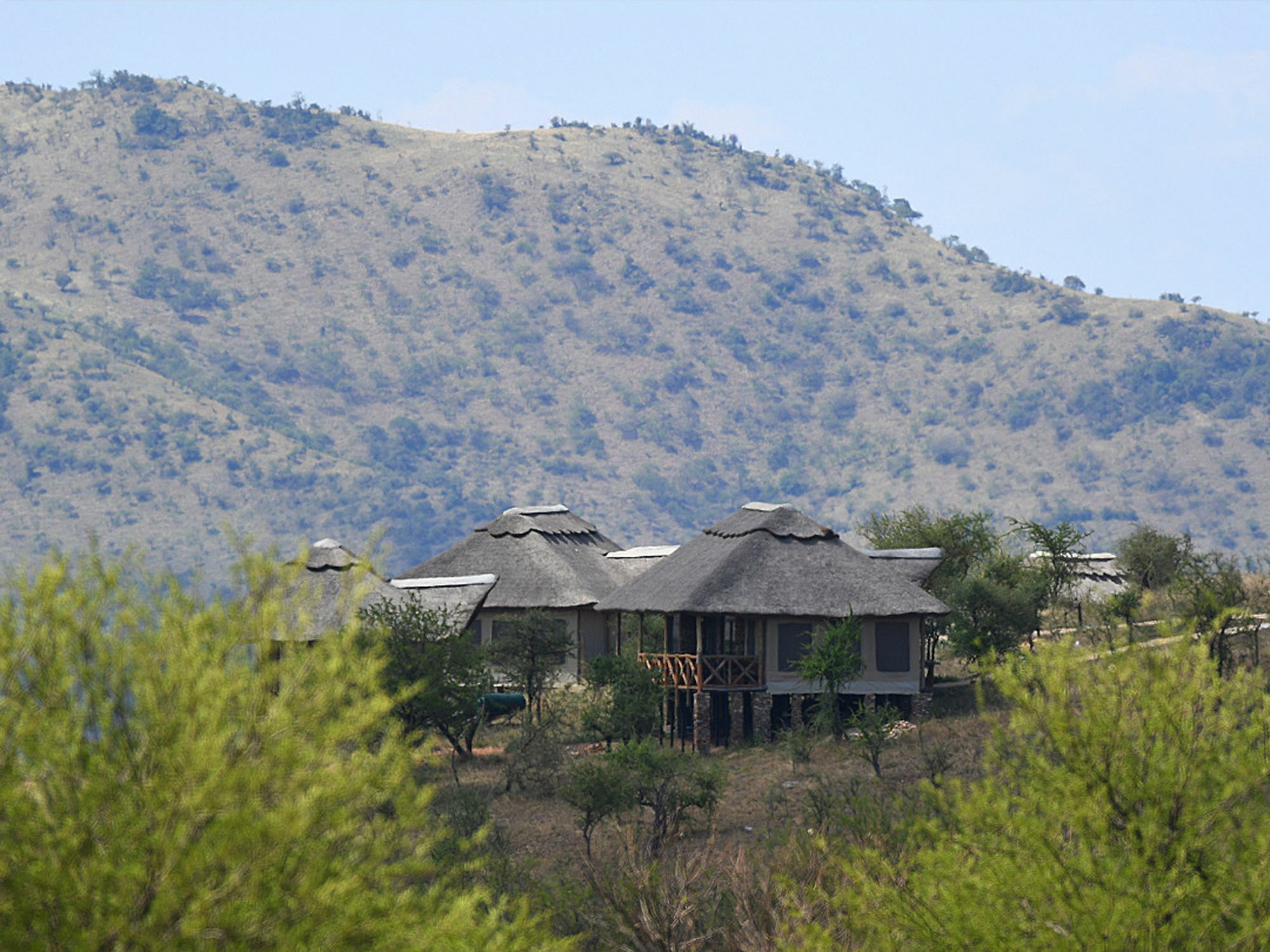 Serengeti Safari Lodge Exteriör bild