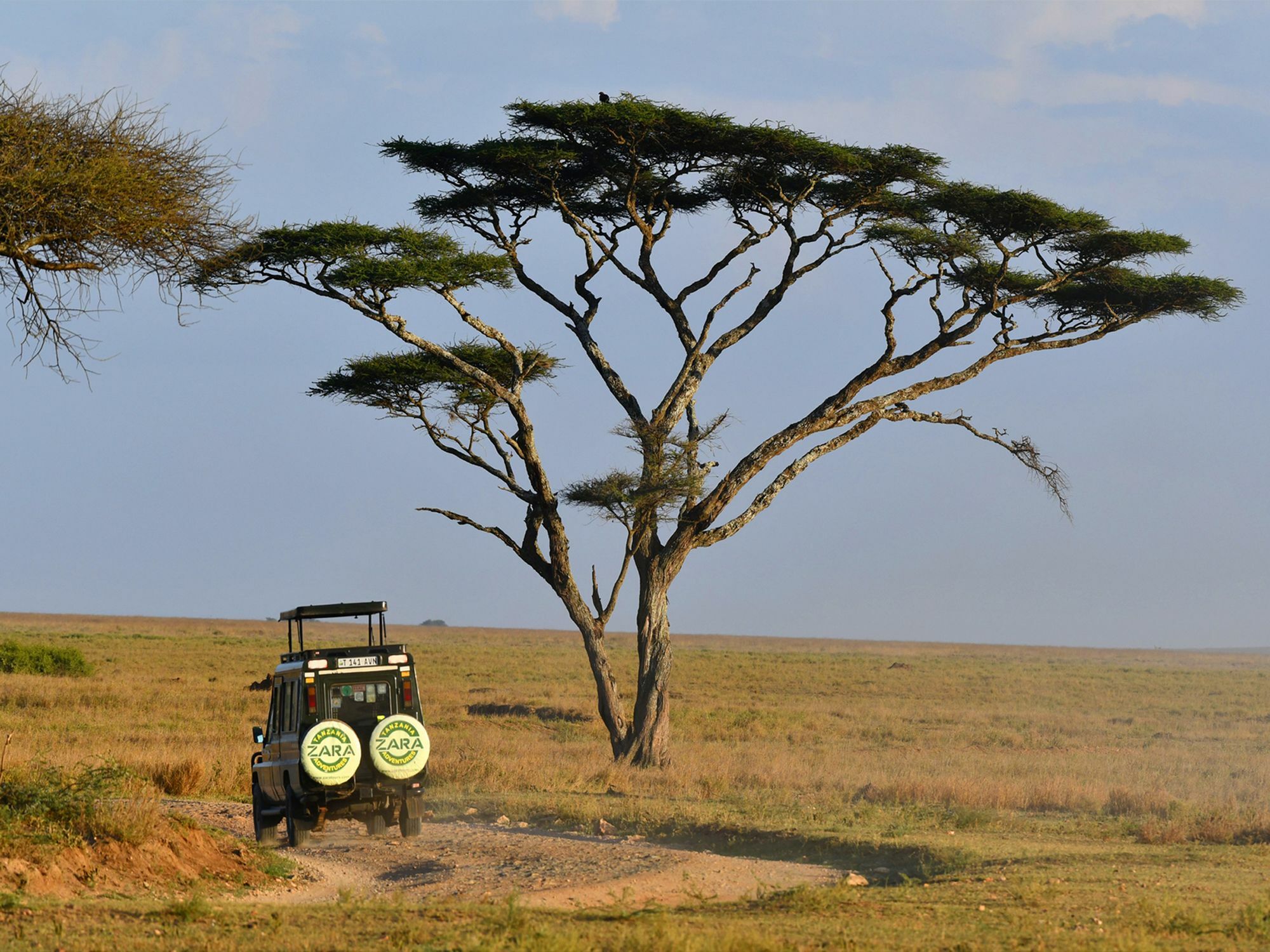 Serengeti Safari Lodge Exteriör bild